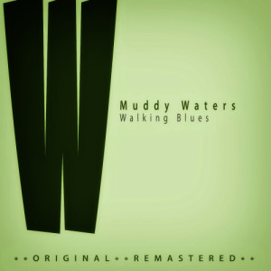ดาวน์โหลดและฟังเพลง You Gonna Miss Me When I'm Gone พร้อมเนื้อเพลงจาก Muddy Waters