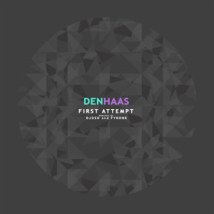 收聽Den Haas的Intense (Djosh Remix)歌詞歌曲