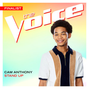 Cam Anthony的專輯Stand Up (The Voice Performance)