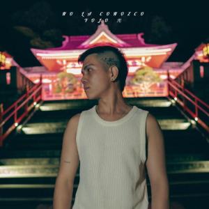 Yojo的專輯No La Conozco