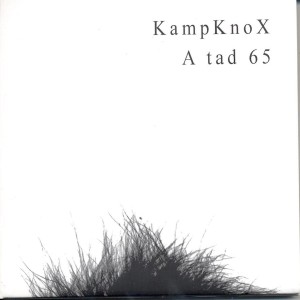 Listen to She Goes song with lyrics from Kamp Knox