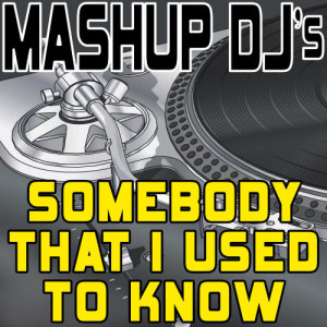 收聽Mashup DJ's的Somebody That I Used to Know (Acapella Mix) [Re-Mix Tool] (Re-Mix Tool)歌詞歌曲