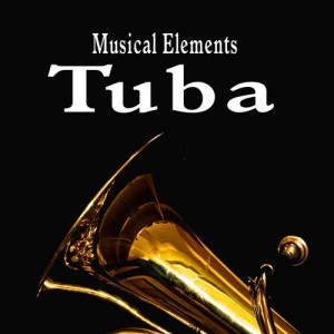 ดาวน์โหลดและฟังเพลง Tuba Plays a Brash Squawk พร้อมเนื้อเพลงจาก Sound Ideas