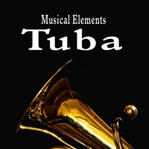 ดาวน์โหลดและฟังเพลง Heartbeat Accent Played on a Tuba พร้อมเนื้อเพลงจาก Sound Ideas