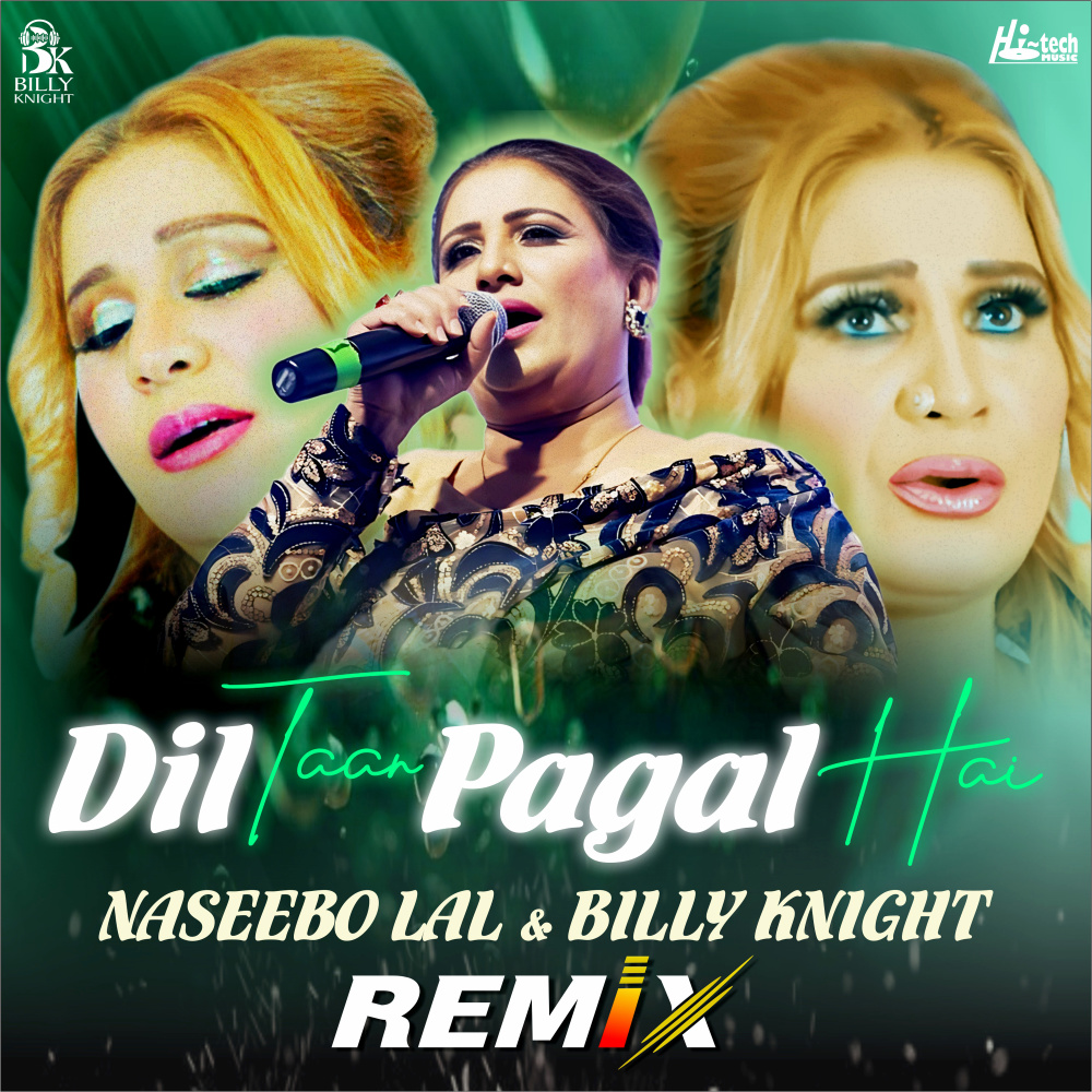 Dil Taan Pagal Hai (Remix)
