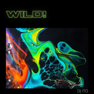 ดาวน์โหลดและฟังเพลง WILD พร้อมเนื้อเพลงจาก DJ ITO