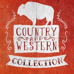 ดาวน์โหลดและฟังเพลง Take Your Time พร้อมเนื้อเพลงจาก Country And Western