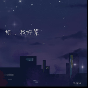 Listen to 妈，我好累（看不见你眼里闪烁的泪） song with lyrics from PD.C