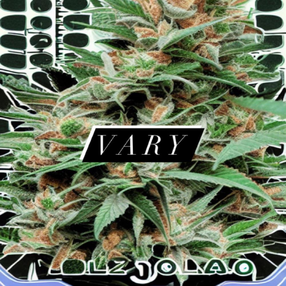 Vary (feat. Burnout MacGyver) (Explicit)