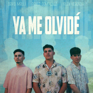 收聽David Malli的Ya Me Olvidé歌詞歌曲