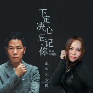 Listen to 下定决心忘记你 (粤语对唱版伴奏) song with lyrics from 正云