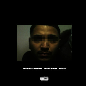 Album Rein Raus (Explicit) from 