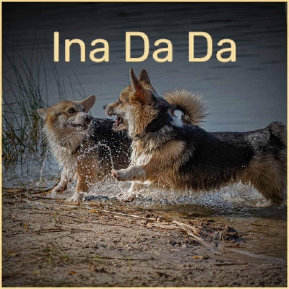 Ina Da Da