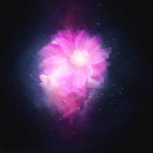 ดาวน์โหลดและฟังเพลง Ymm พร้อมเนื้อเพลงจาก Unwill