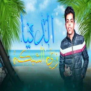 Album الدنيا زي الشبكه from شيكو الاستاذ