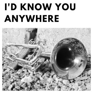 Album I'd Know You Anywhere from Geraldo and His Orchestra