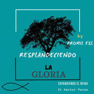 Listen to Expandiendo el Reino (Resplandeciendo la Gloria) (其他) song with lyrics from Promil ESL