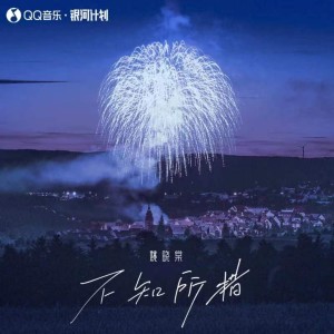 Album 不知所措 oleh 姚晓棠