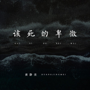 收聽黃靜美的該死的卑微 (DJ版)歌詞歌曲