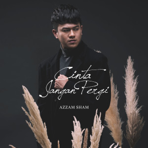 收聽Azzam Sham的Cinta Jangan Pergi歌詞歌曲