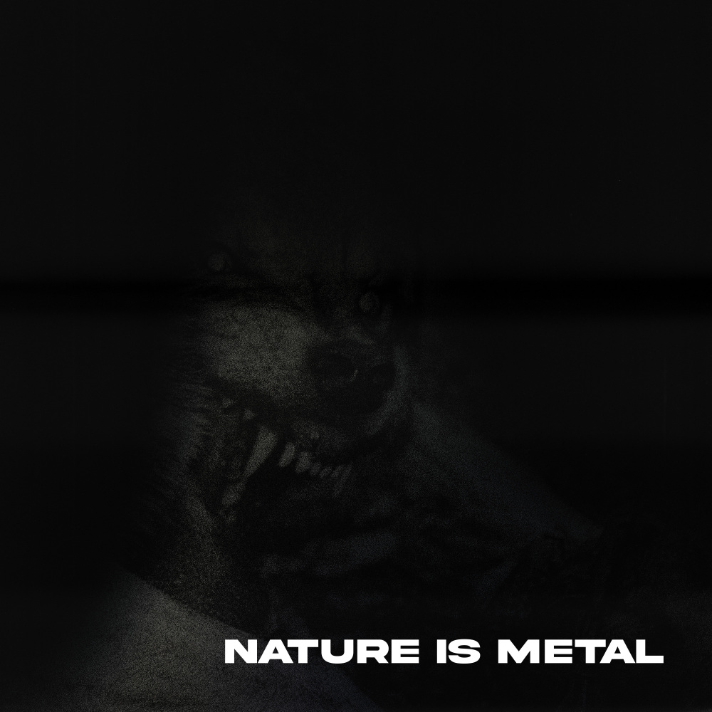 Nature Is Metal