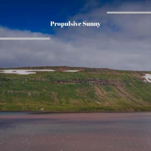 Various Artists的專輯Propulsive Sunny