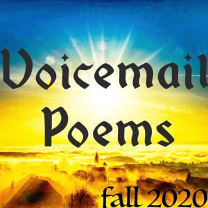 Album Fall 2020 (Explicit) from 