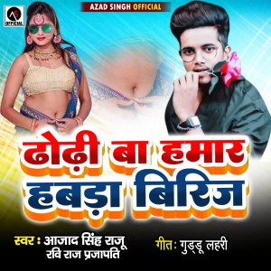ดาวน์โหลดและฟังเพลง Dhodhi Ba Hamar Habada Birij พร้อมเนื้อเพลงจาก Azad Singh Raju