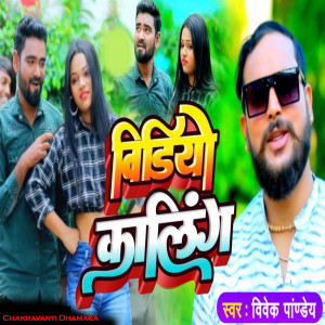 收聽Vivek Pandey的Video Calling歌詞歌曲