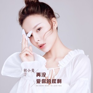 收听胡小斐的再沒愛你的權利（DJ版） (DJ版伴奏)歌词歌曲