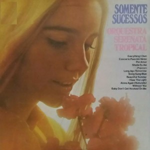 ดาวน์โหลดและฟังเพลง Beautiful Sunday พร้อมเนื้อเพลงจาก Orquestra Serenata Tropical