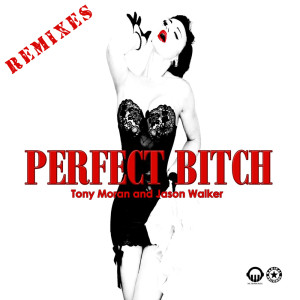Tony Moran的專輯Perfect Bitch (Remixes)