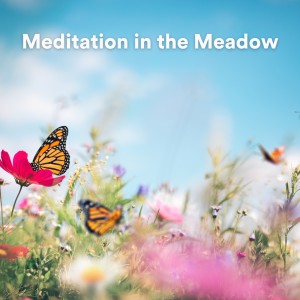Album Meditation in the Meadow from Calm Stress Relief
