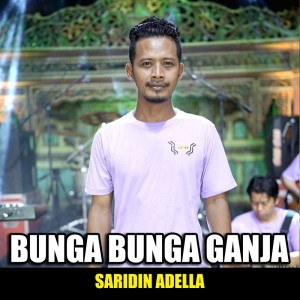 Listen to Bunga Bunga Ganja song with lyrics from Saridin Adella
