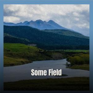 Listen to Some Field song with lyrics from Arnis Leeh