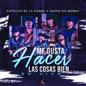 ดาวน์โหลดและฟังเพลง Me Gusta Hacer las Cosas Bien พร้อมเนื้อเพลงจาก Novillos de la Sierra