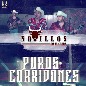 Pedro Aviles