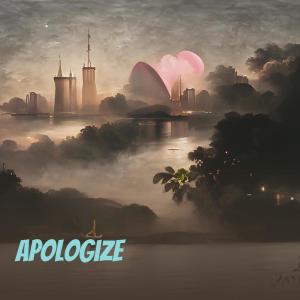 PBB的专辑Apologize (Remix)