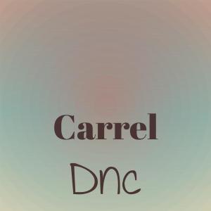 Listen to Web Cdt song with lyrics from Doel Esrs