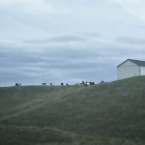 ดาวน์โหลดและฟังเพลง Decor (Explicit) พร้อมเนื้อเพลงจาก lukebike