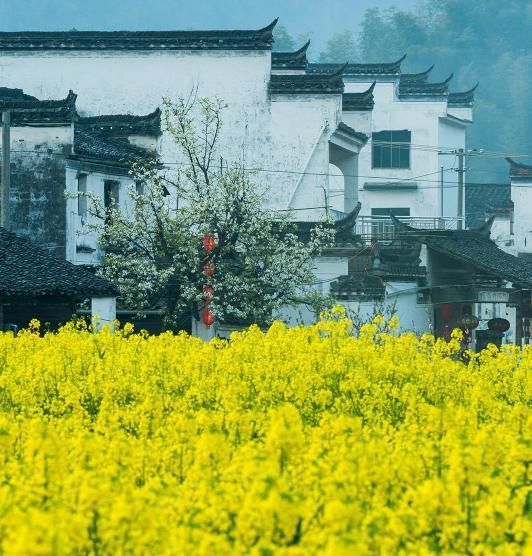 若水王