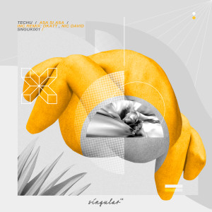 收聽Techu的Gruv (Original)歌詞歌曲