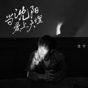 Listen to 当沈阳爱上大理 (伴奏) song with lyrics from 沈宁