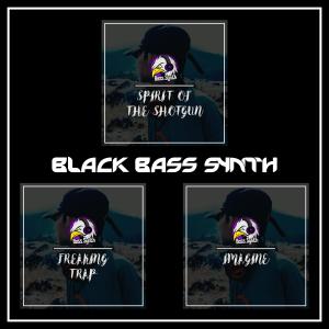 Album Black Bass Synth from Bass Synth