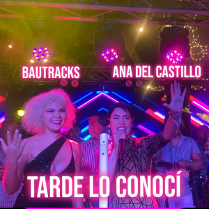 Ana Del Castillo的專輯Tarde Lo Conocí (Cover) (Explicit)