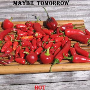 Listen to Dressed In Rags song with lyrics from Maybe tomorrow
