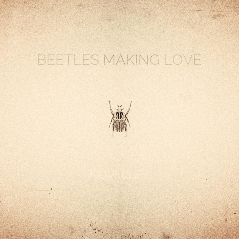 Beetles Making Love (Explicit)