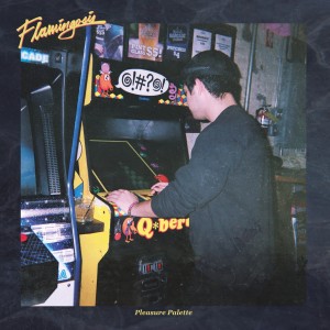 ดาวน์โหลดและฟังเพลง Pleasure Palette พร้อมเนื้อเพลงจาก Flamingosis