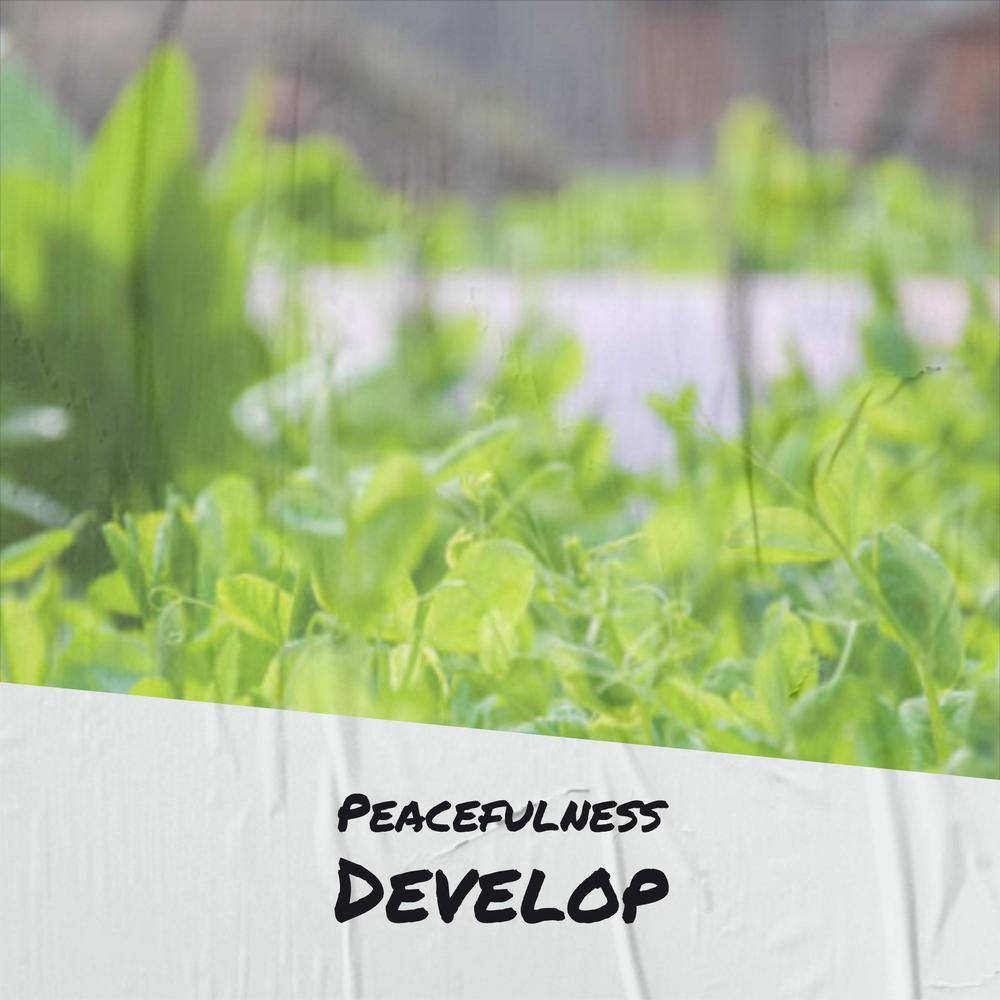 Peacefulness Develop