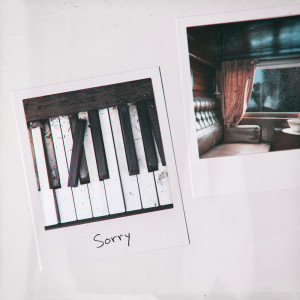 ดาวน์โหลดและฟังเพลง Sorry พร้อมเนื้อเพลงจาก Alex Kehm